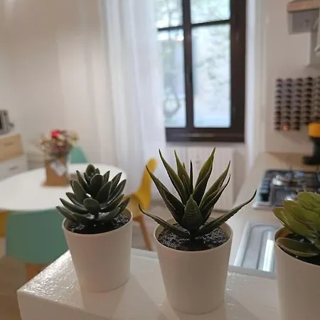 Da Rosa E Pier - Charming